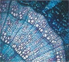Bluetech petite - bluetech,